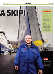 Síða 21