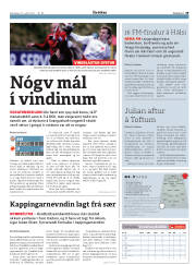 Síða 29