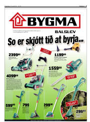 Síða 3