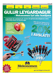 Síða 15
