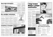 Síða 5