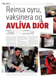Síða 10