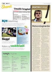 Síða 14