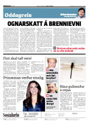 Síða 2