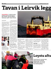 Síða 14