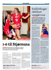 Síða 17