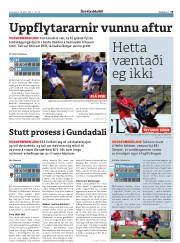 Síða 19
