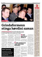 Síða 8