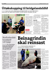 Síða 4