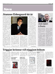 Síða 13