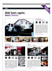 Síða 31