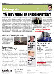 Síða 2