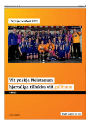 Síða 5
