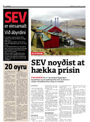 Síða 6
