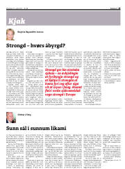 Síða 29