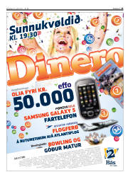 Síða 35