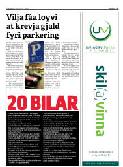 Síða 13