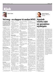 Síða 17