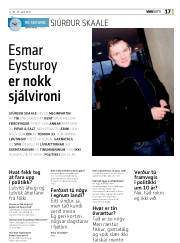 Síða 17