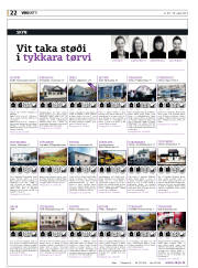 Síða 22