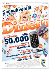 Síða 26