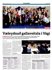 Síða 15