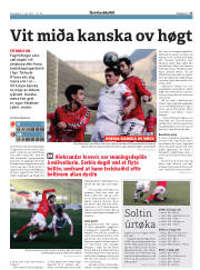 Síða 17
