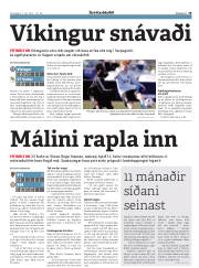 Síða 19