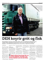 Síða 11