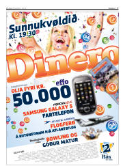 Síða 5