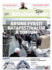 Síða 17