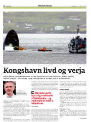 Síða 20