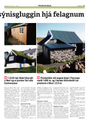 Síða 29