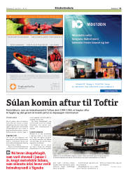 Síða 31