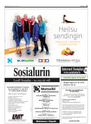 Síða 33