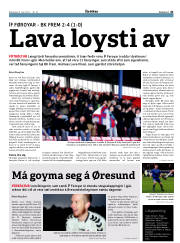 Síða 41