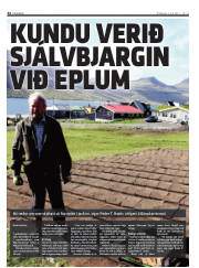 Síða 44