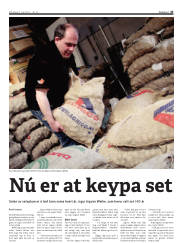 Síða 45