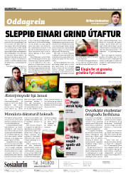 Síða 2