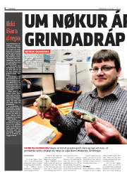 Síða 8