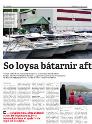 Síða 12
