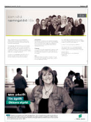 Síða 17