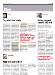 Síða 21