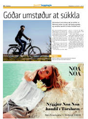 Síða 12