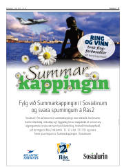 Síða 3