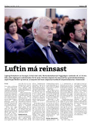 Síða 11