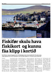 Síða 12