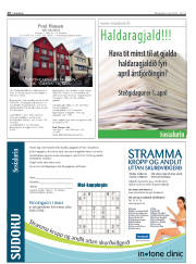 Síða 16