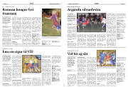 Síða 13