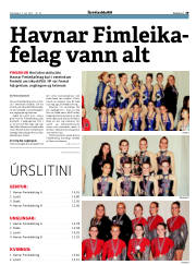 Síða 29